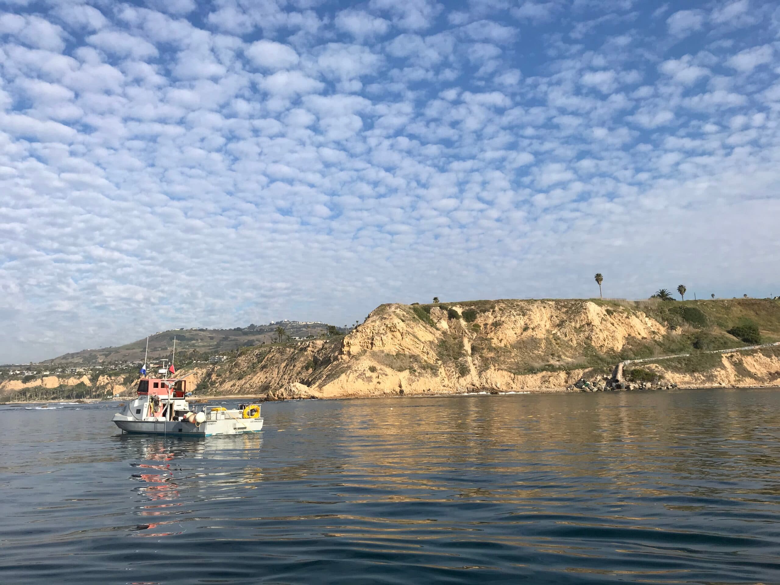 08_30_2020_SunStar_White Point