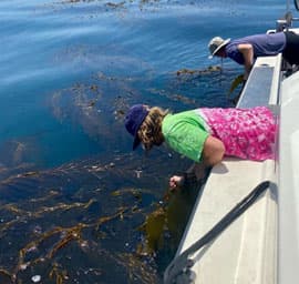 People looking at the water