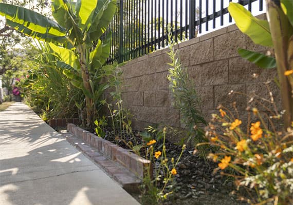 semi-annual-reports-image