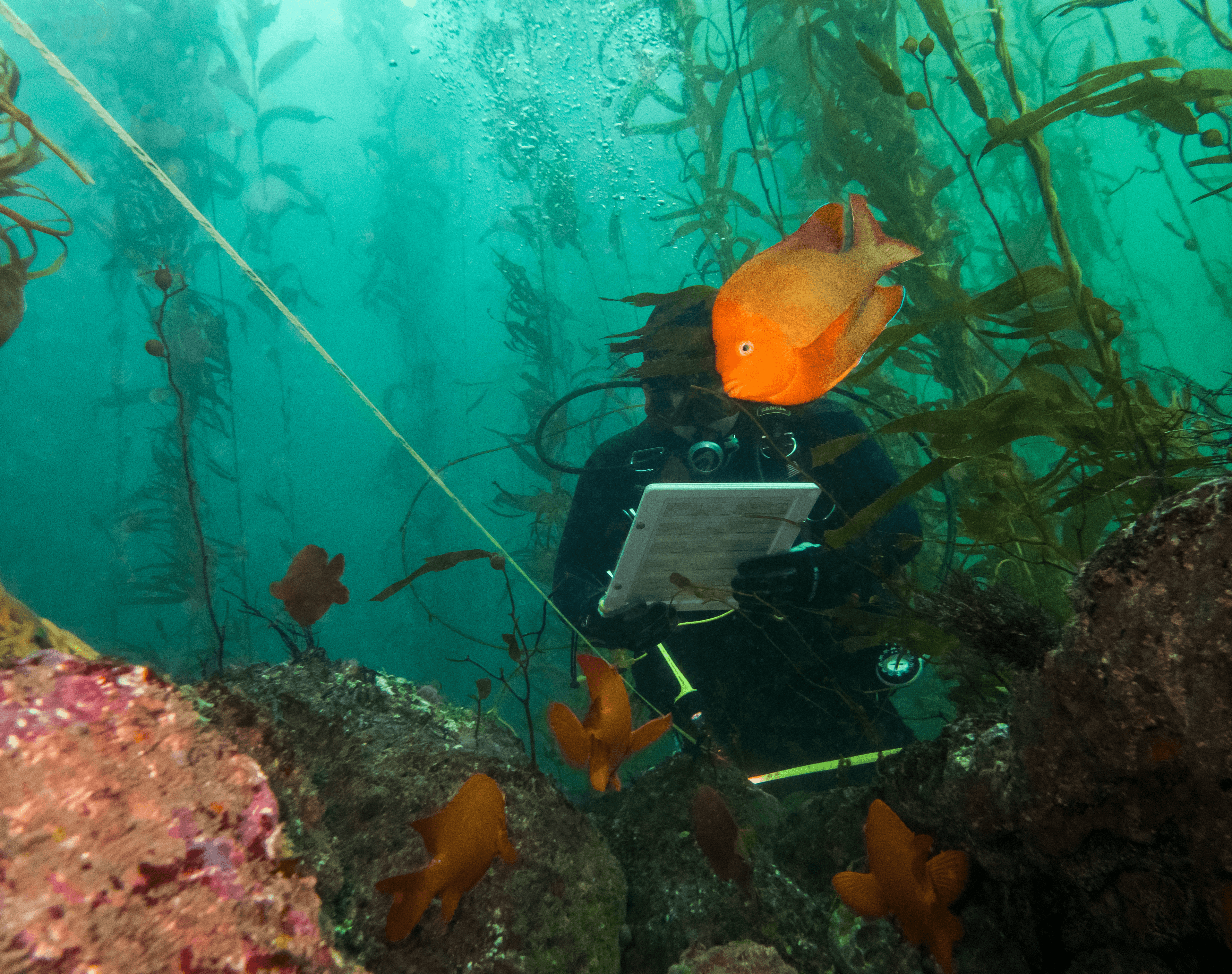 A person working under water